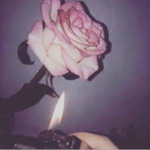 Meet your Posher, Mackinzie